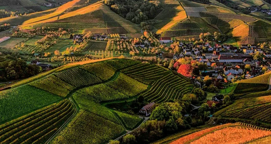 We grow fresh, organic produce using clean methods that protect nature, healthy food.